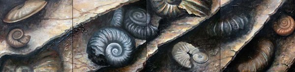 Ammonite Cluster