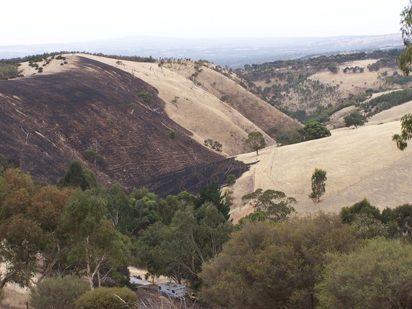 Burnt landscape Willunga south.