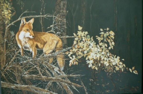 Red Fox