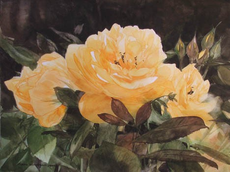 'Yellow Rose Study