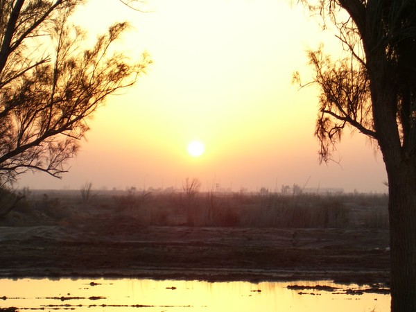 Sunrise in Iraq