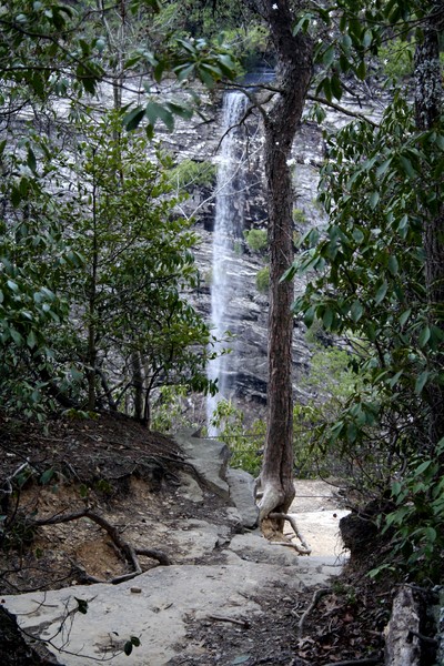 piney Falls