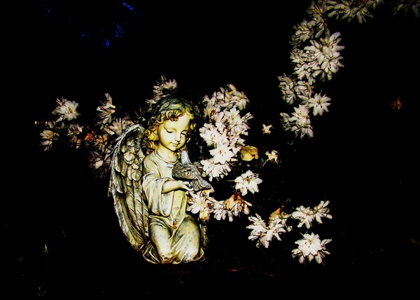 Angel of the Azaleas 2012 8x10 Print
