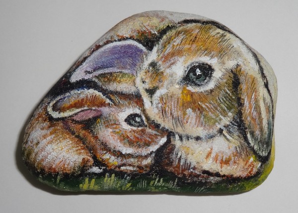 rabits on pebbles