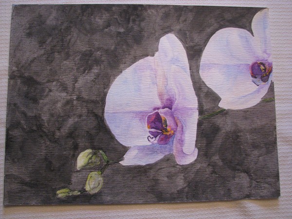 Orchid Original Watercolor