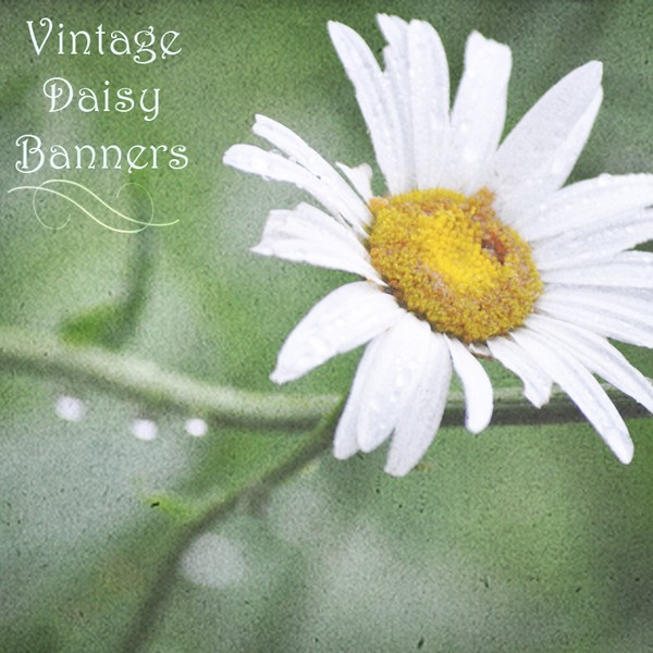 Premade Online Shop Banners, Vintage Daisy