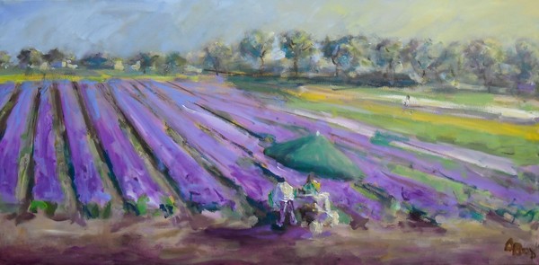 Violet fields forever