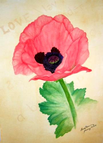 Portrait of a Poppy: Definition of Love