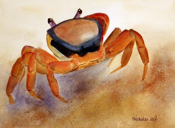 Crab Of Color