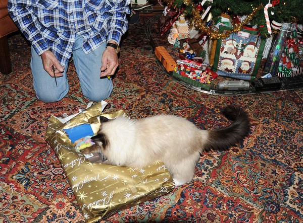 Ragsy Opening Present