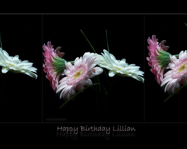 Happy Birthday Lillian