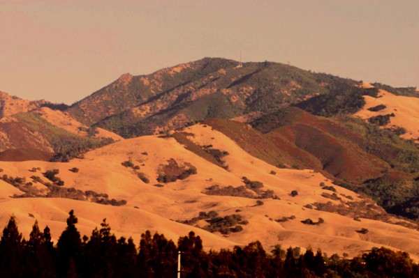 Mt. Diablo