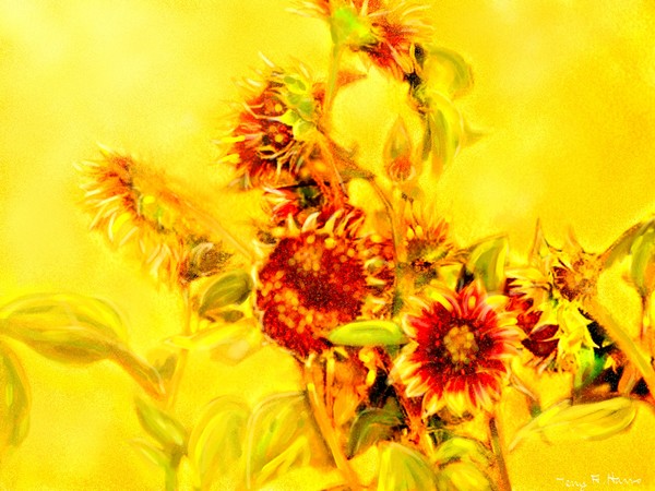 Terry's Sunflowers