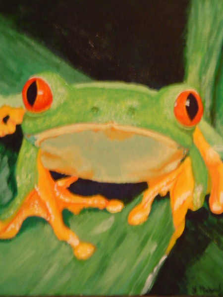 Grenouille / Frog