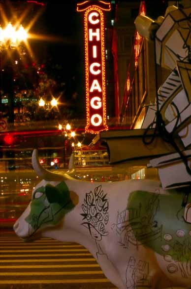 Cow & Chicago Sign