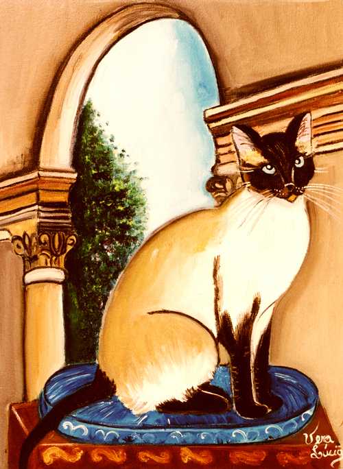 Classic Siamese cat