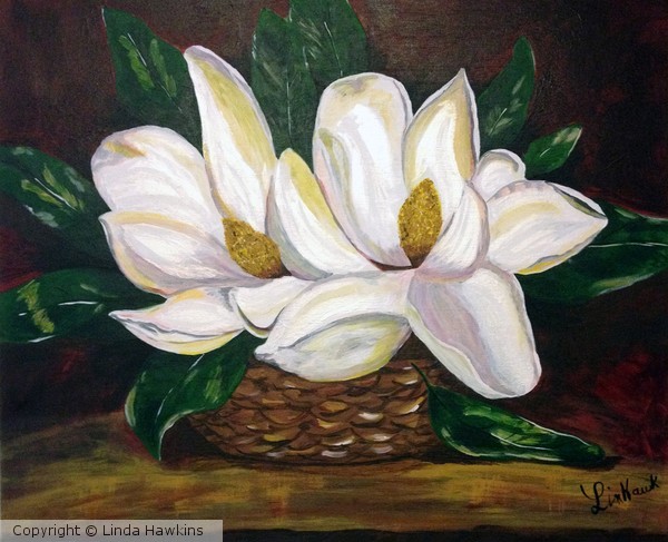 Amy's Magnolias