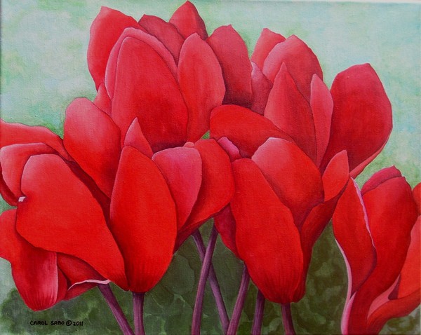 Red Cyclamens