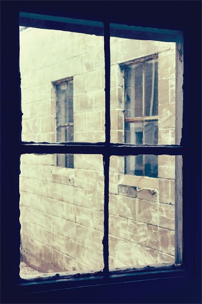 Window5