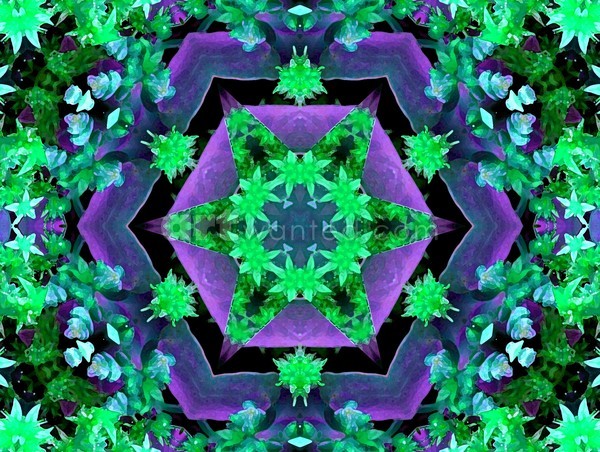 Green & Purple Hexagonal Kaleidoscope Mandala