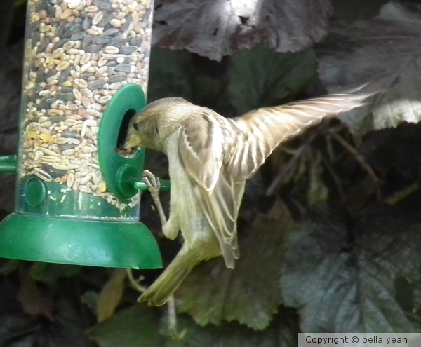 lunch on the fly