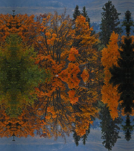 Autumn Digital Wimsey