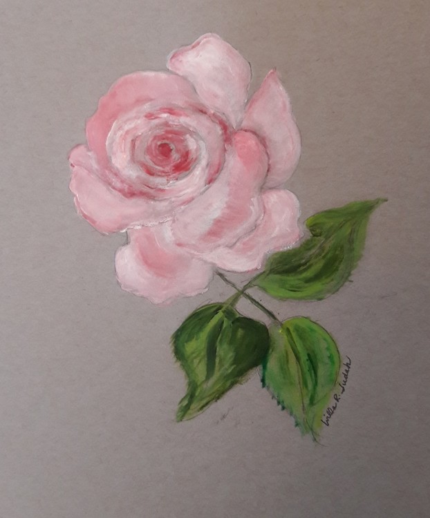 Pink Rose for Dian