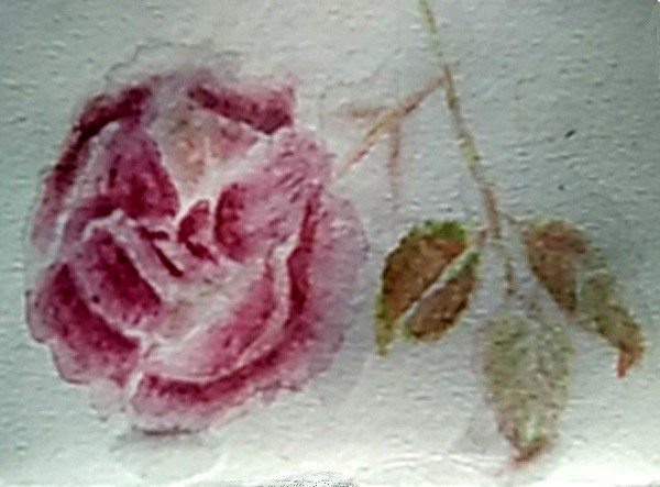 Rose Stem Watercolor