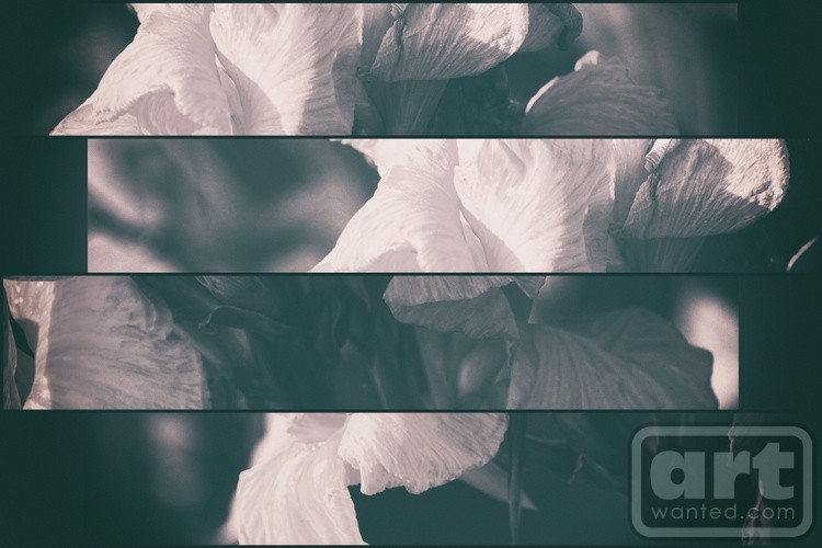 FlowerdeLuce Collage in B&W