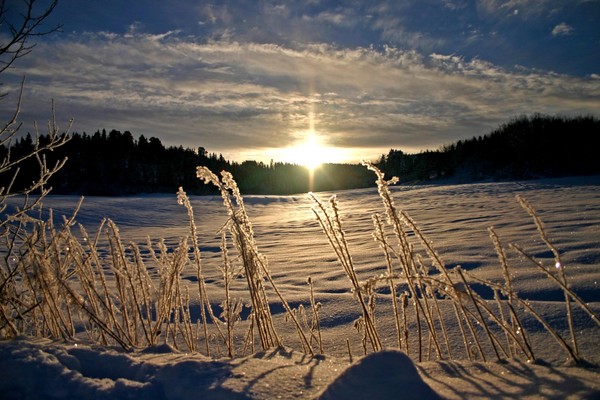 Frost and winter is here again