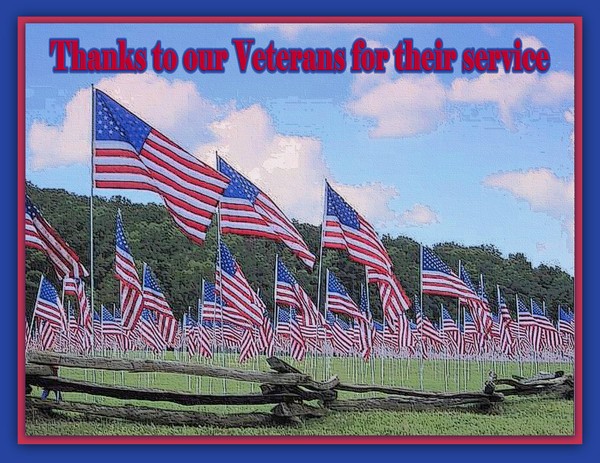 We Honor You...........Veteran's