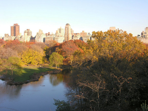 November in Central Park