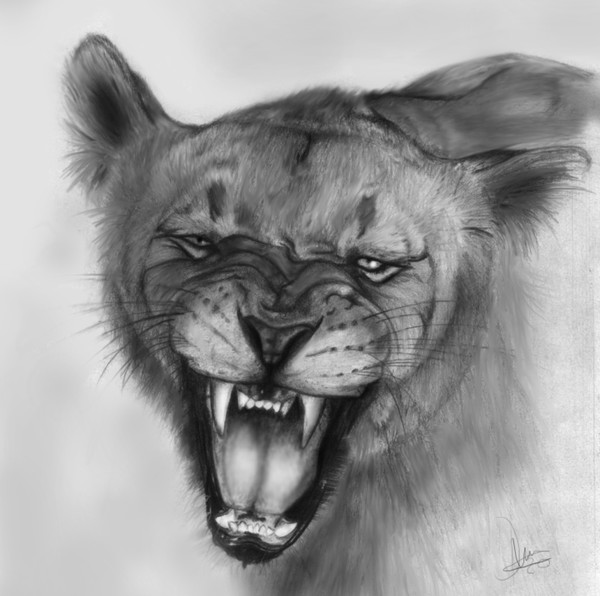 Lioness's Pride