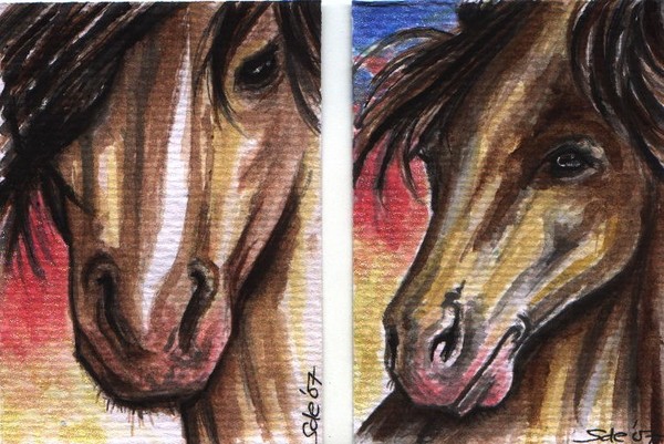 'Sunset Horses'