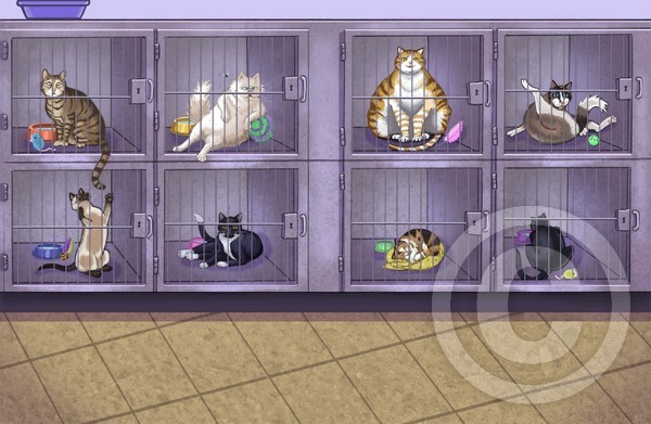 Caged Cats