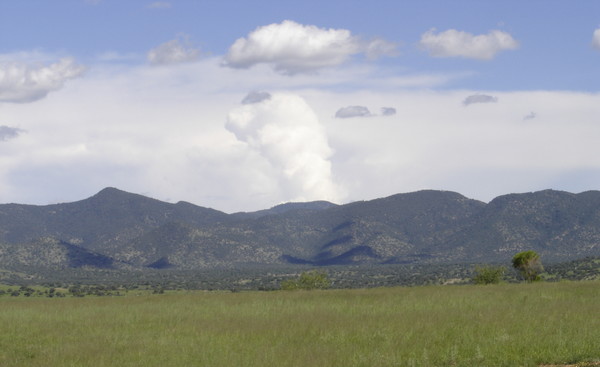 Los Ajo Mountains