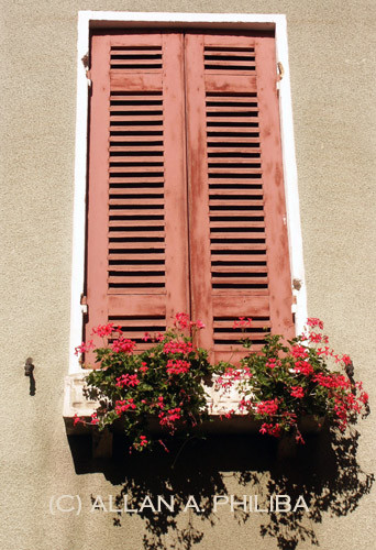 Shuttered window with flowers