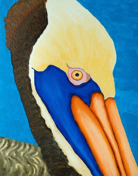 Pelican Portrait - Save the Gulf