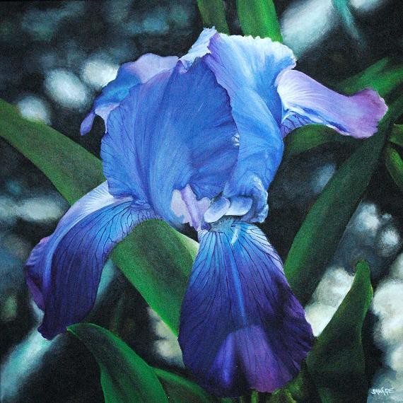 Iris Blue