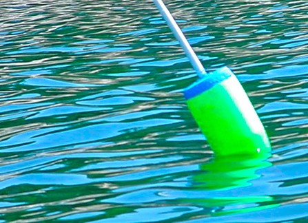Green Buoy in the Water