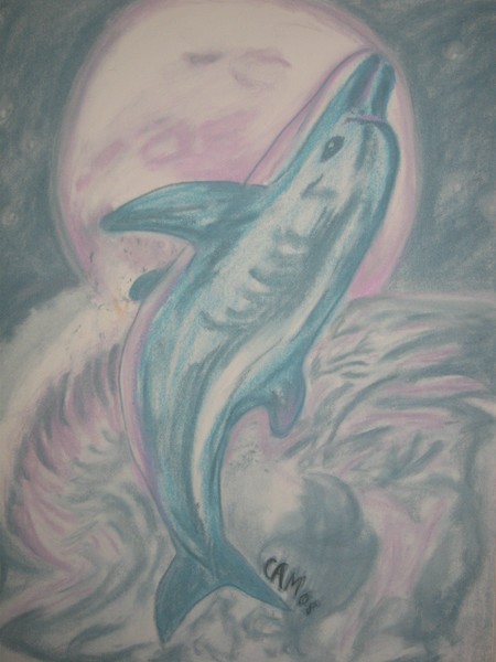 Dolphin In Moonlight
