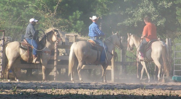 stirin up the dust