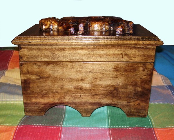 front of Buffalo chest