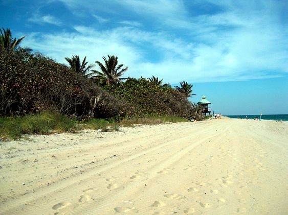 On the Beach