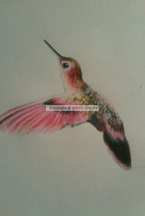 Detail of hummingbird piece