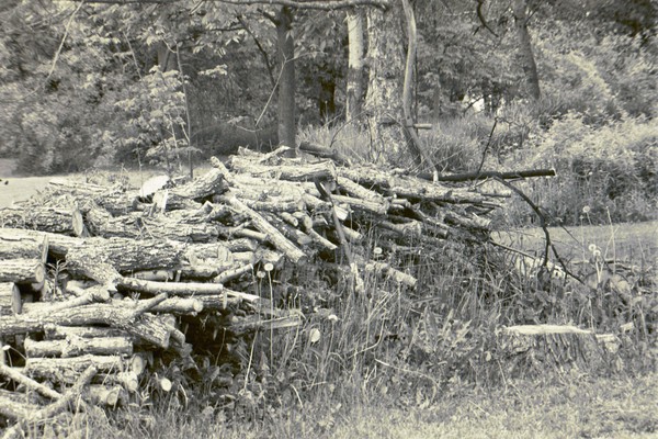 Woodpile