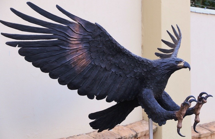 Black Eagle Lifesize in bronze. Ltd Ed of 15 only