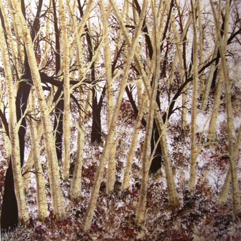 Big Brown Birch Trees