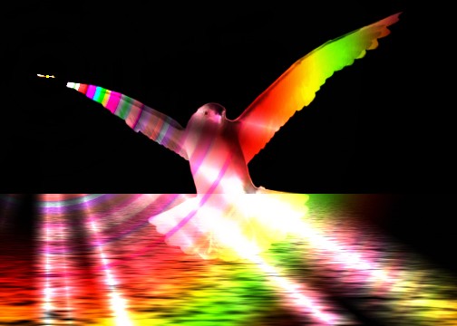 rainbowbird