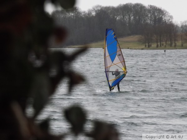 WindSurfing.in.the.Tree's